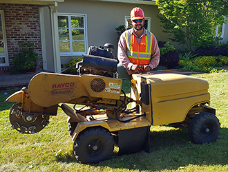 Stump Grinder, Stump Removal, Stump Grinding, Stump Removal Cost, How to Remove a Stump