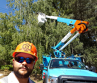 Tree Trimming Frisco